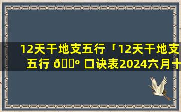 12天干地支五行「12天干地支五行 🌺 口诀表2024六月十五酉时属性」